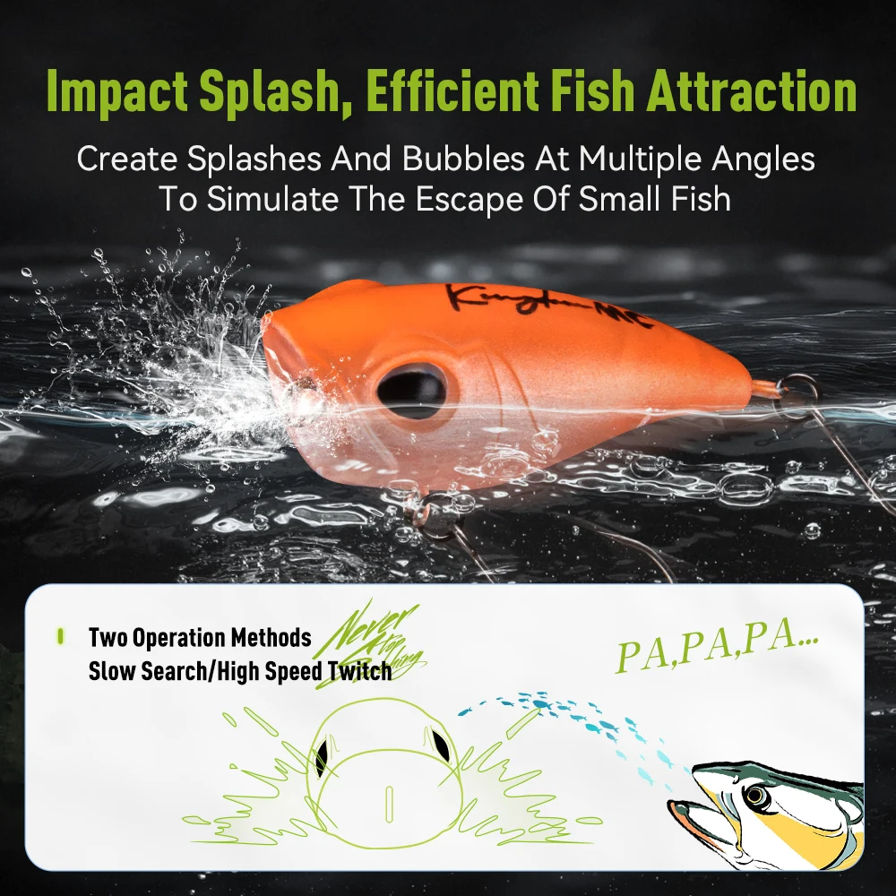 Kingdom Micro Expert Topwater  – Fishing Lure Popper Bewertung und Preis