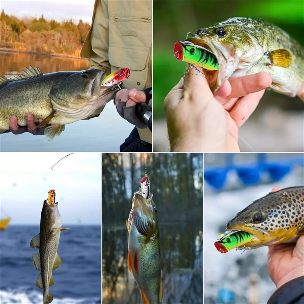 5 Stücke Popper Angelköder 3d  – Fishing Lure Popper Bewertung und Preis