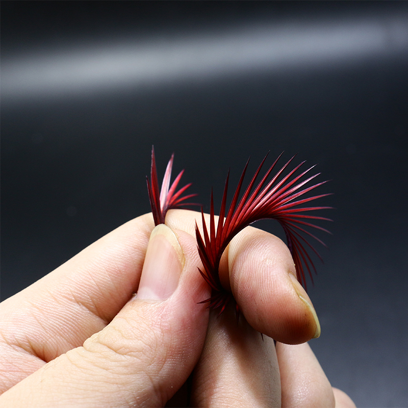 PERSUADER 20 Stück/Beutel Hand – Fishing Lure Popper Bewertung und Preis